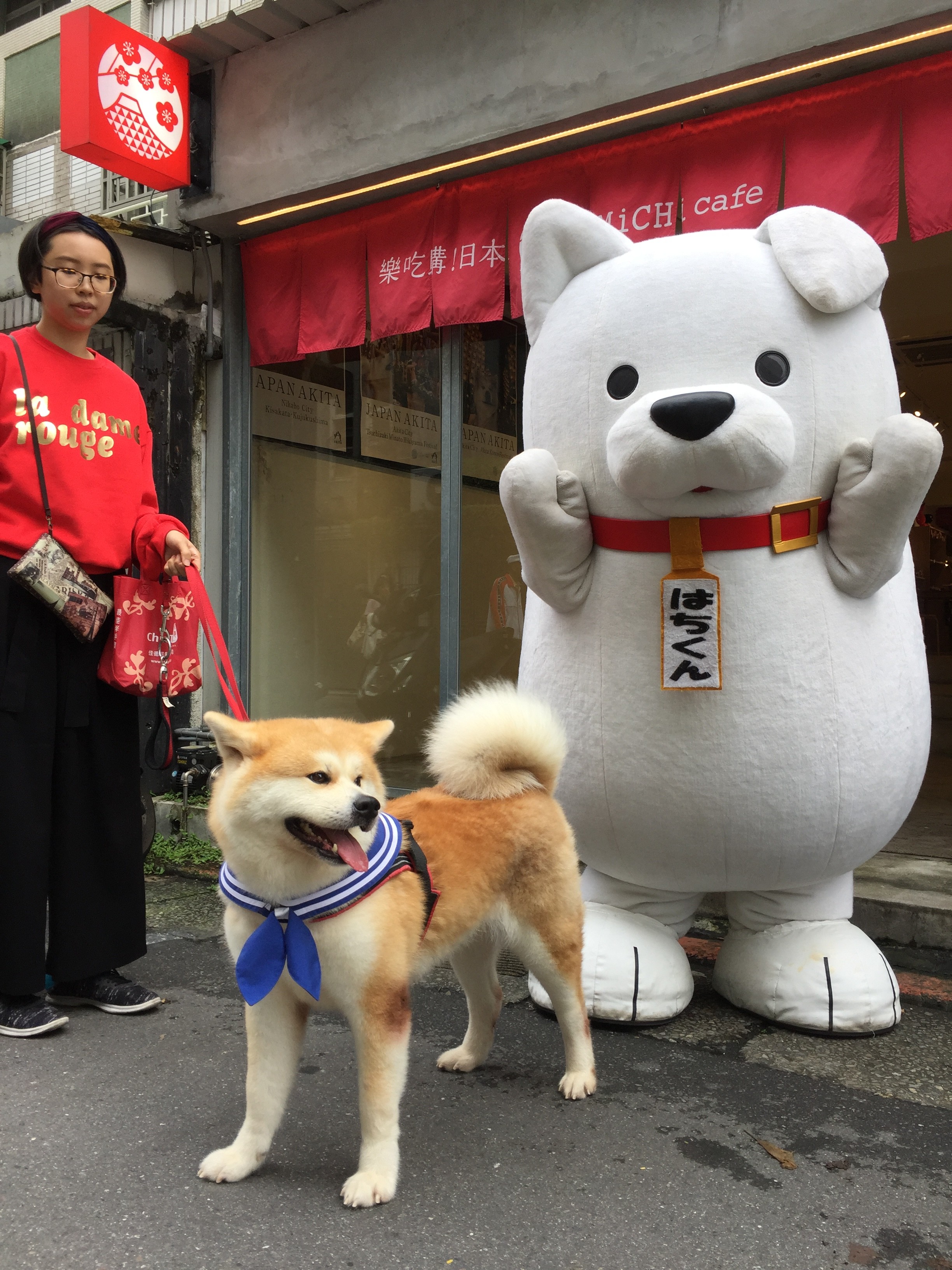 当社アンテナショップで秋田犬イベントを実施 吉日媒體集團 台湾 香港でのプロモーション 訪日インバウンド送客を支援